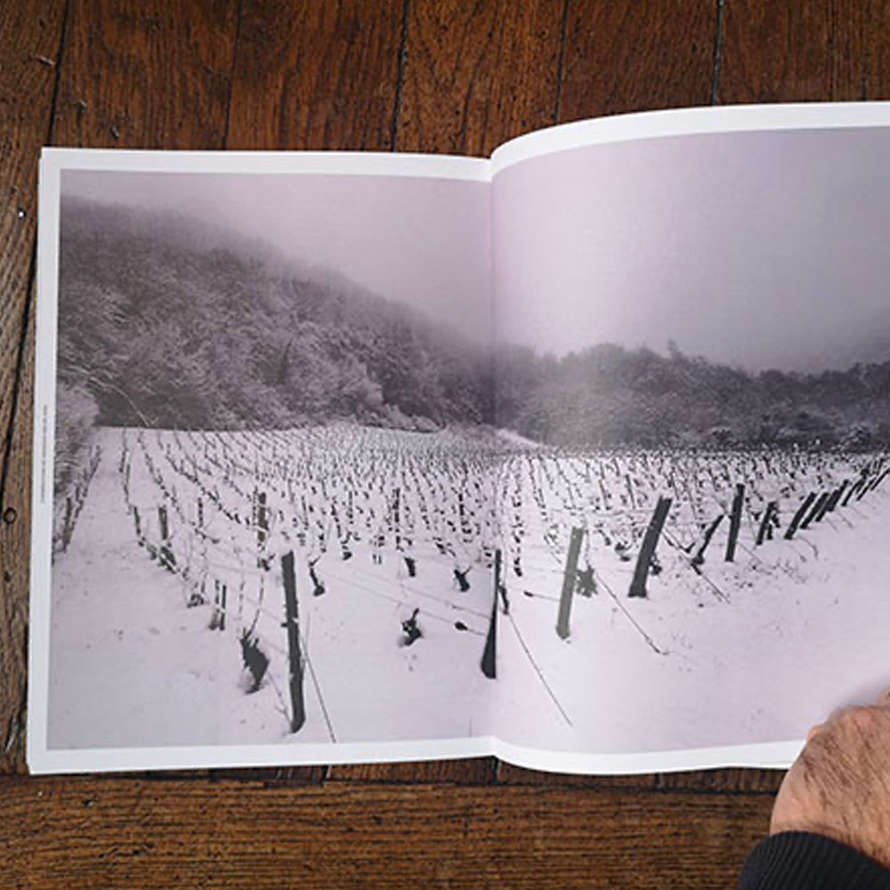 Entre les vignes - Jura