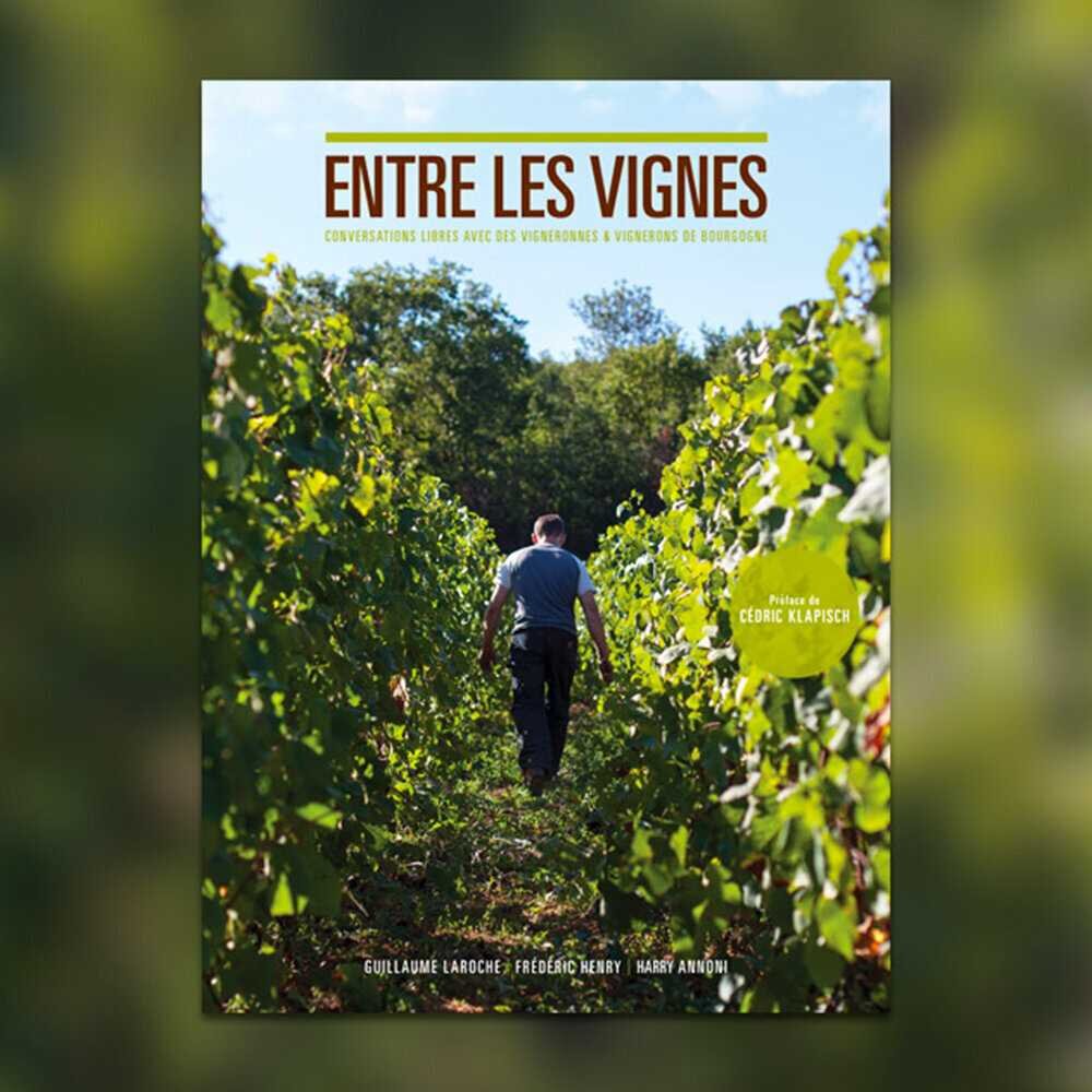 Entre les vignes - Bourgogne